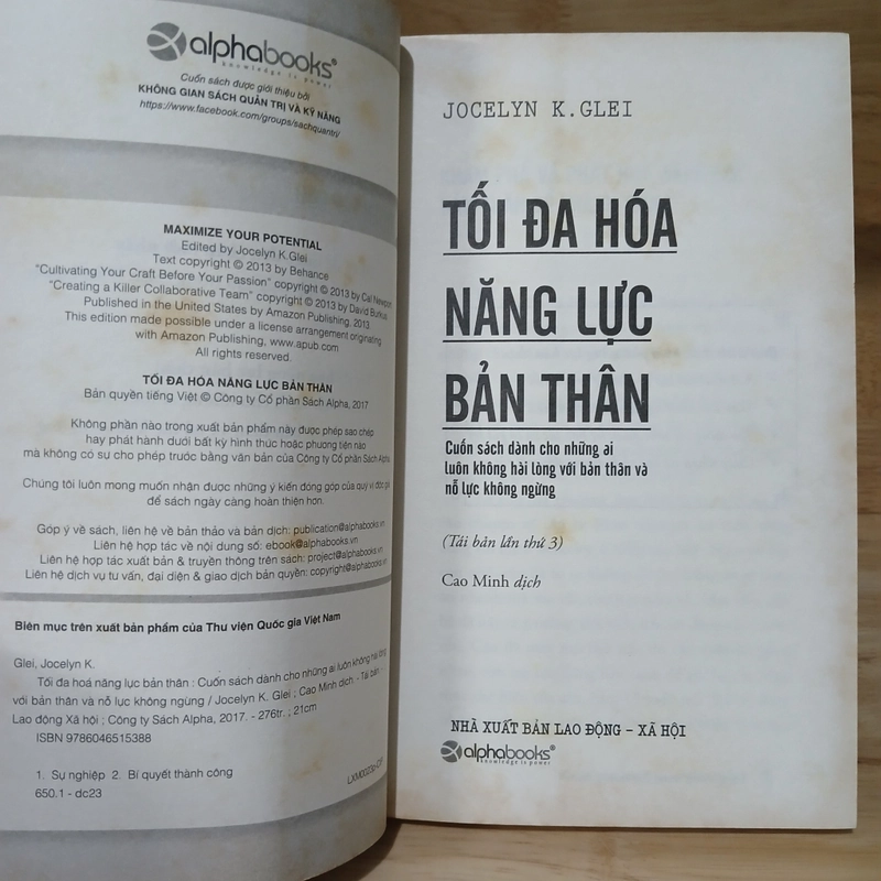 Tối Đa Hóa Năng Lực Bản Thân - Jocelyn K. Glei 507357