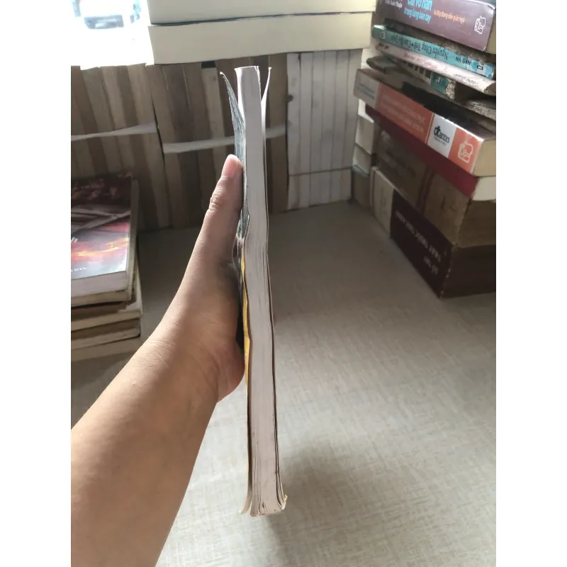 Tìm hiểu những nền văn hoá Ả rập-Đăng Nguyên 961385