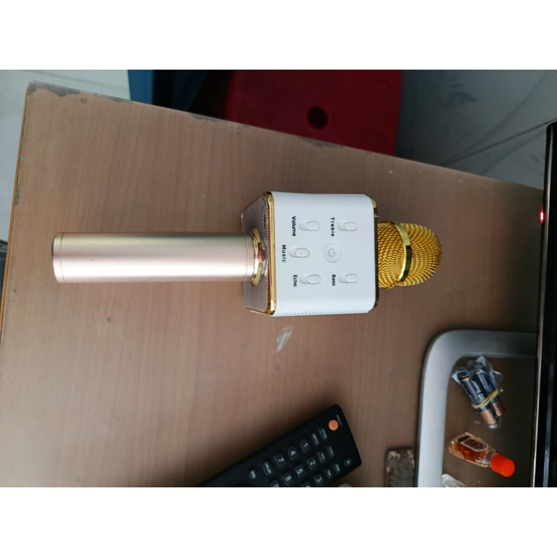 Micro karaoke  499420