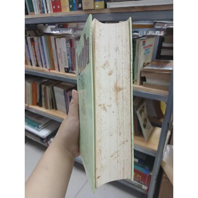 NGUYỄN DU CUỘC ĐỜI VÀ TÁC PHẨM  556932