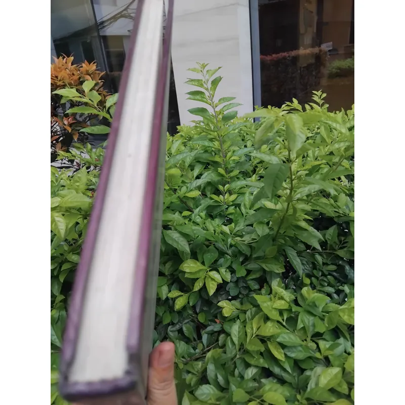 Silverware in Thailand của Naengnoi Punjabhan  974285