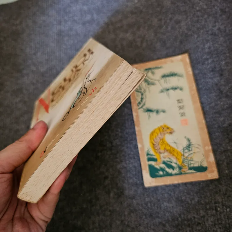 Người chậm - Coetzee 736242