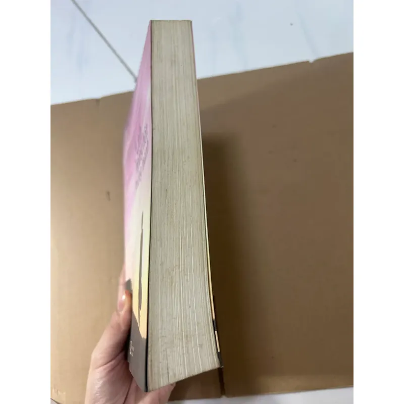 Ánh hoàng hôn mỏng manh 563226