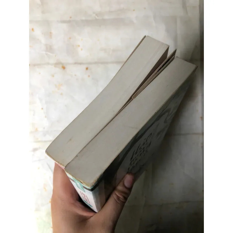 Trọn bộ 2 tập Hảo Mộc Vọng Thiên - Nhĩ Nhã 736346