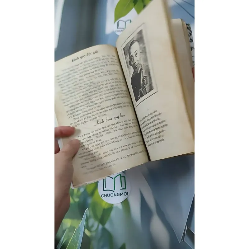 Cao Ly Đầu Hình 928568