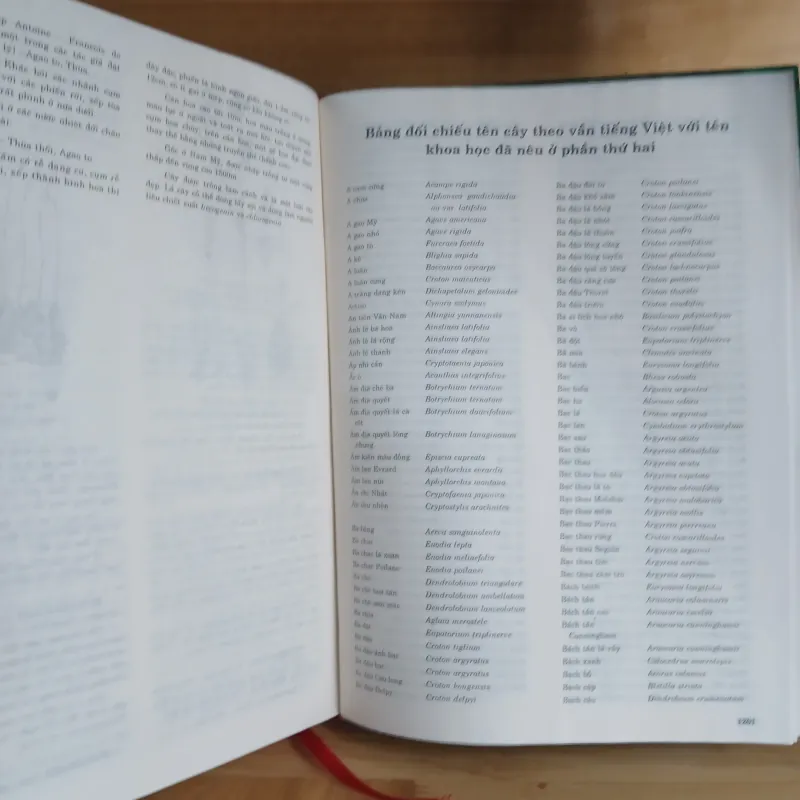 Từ Điển Thực Vật Thông Dụng (Tập 1) - Võ Văn Chi 976204