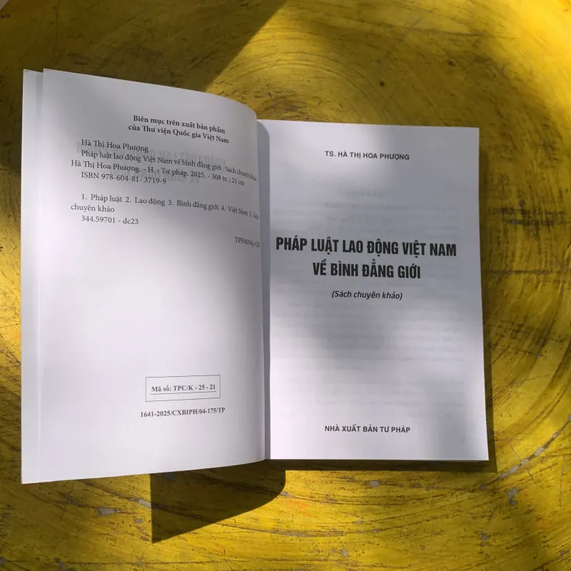 PHÁP LUẬT VIỆT NAM VỀ BÌNH ĐẲNG GIỚI- TS. HÀ THỊ HOA PHƯỢNG  780568
