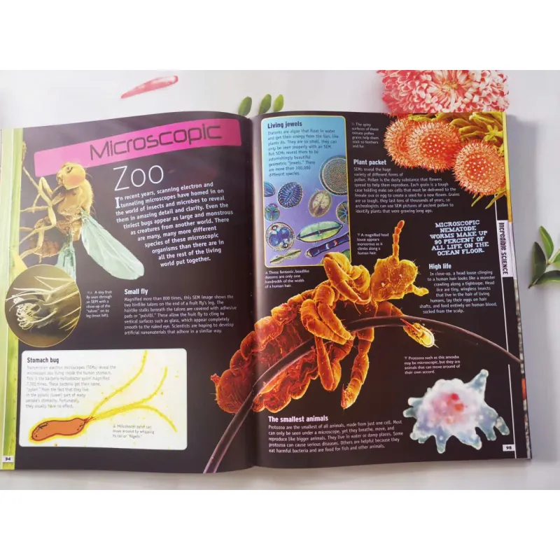 Discover the Extreme World 934756