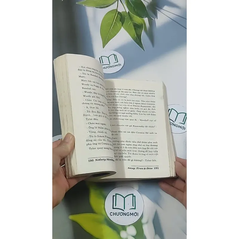 Sáng, trưa và đêm - Sidney Sheldon 695004