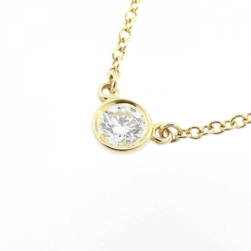 Dây chuyền Tiffany By The Yard - Hàng hiệu Authentic 843973