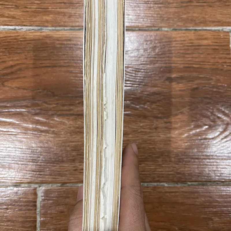 THEO DÒNG LỊCH SỬ - Trần Quốc Vượng (6) 703697