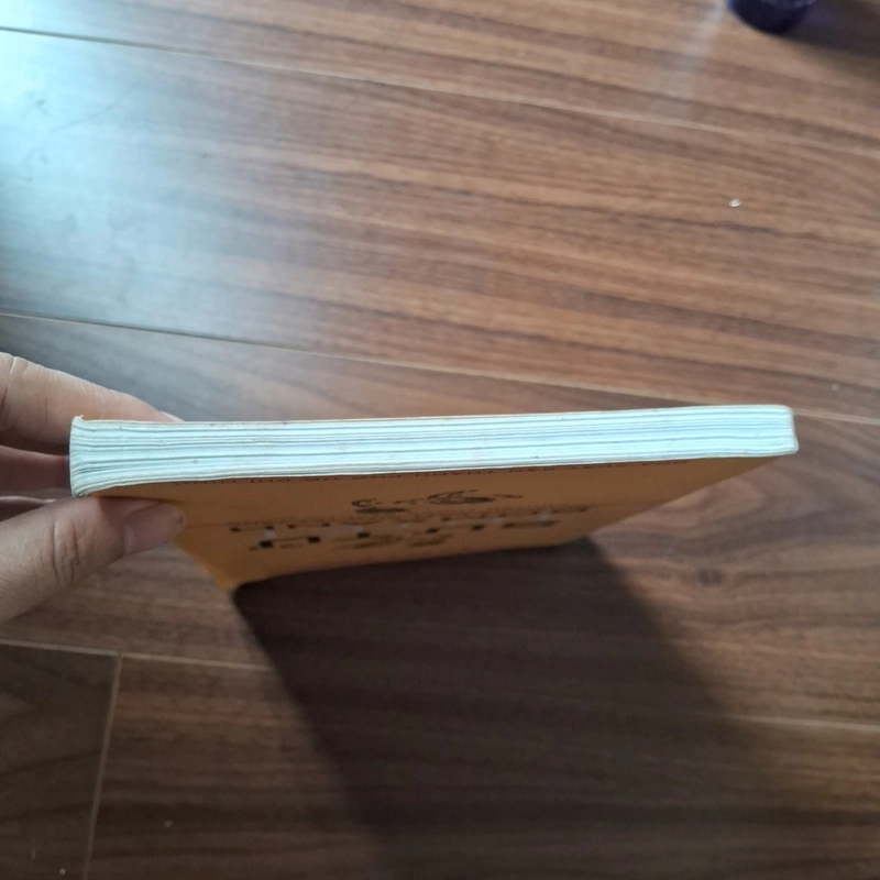 Sư tử tuyết bờm xanh - truyện cổ phật giáo tây tạng 531641