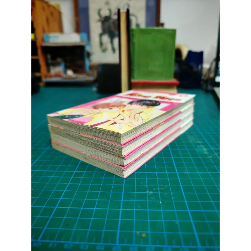 Truyện tranh Hồng Ngọc - Meca Tanaka 460833