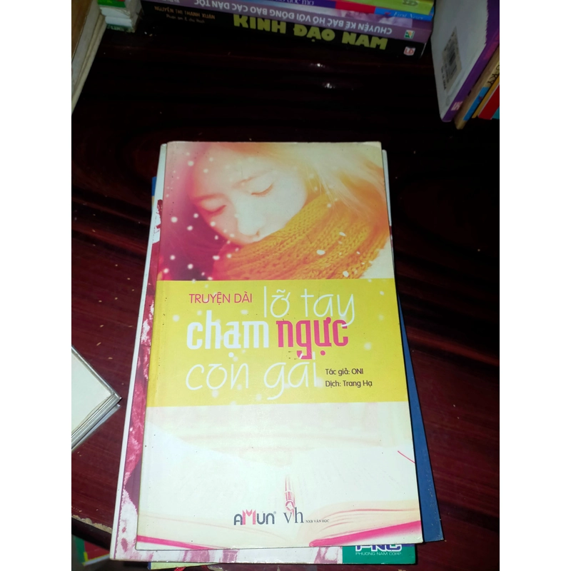 LỠ TAY CHẠM NGỰC CON GÁI - TRANG HẠ DỊCH 364331