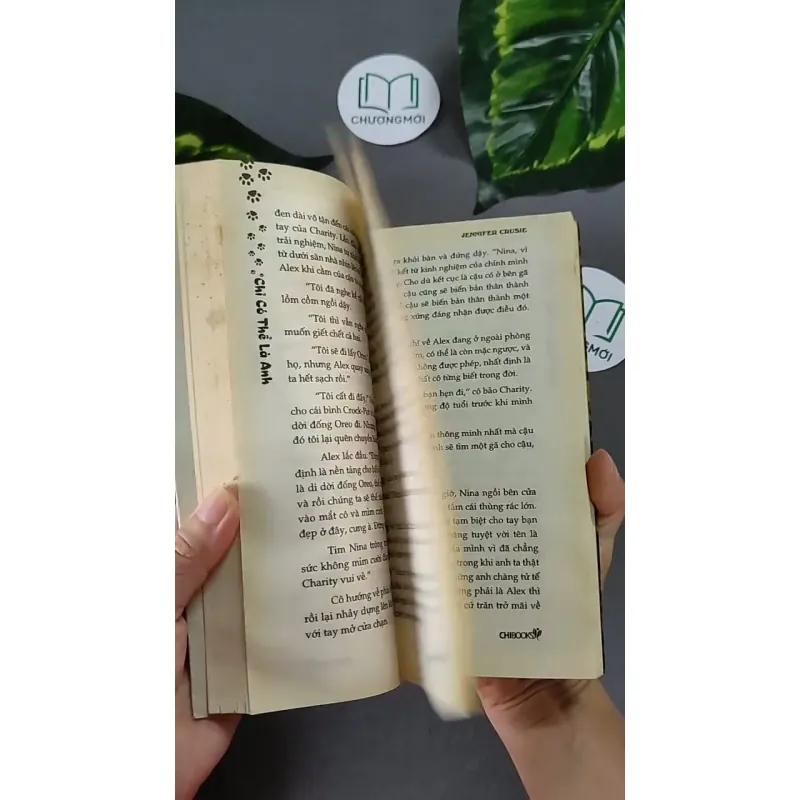 Chỉ Có Thể Là Anh - Jennifer Crusie 604632