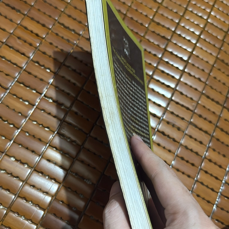 Cô bé phù thuỷ - Celia Rees 519042