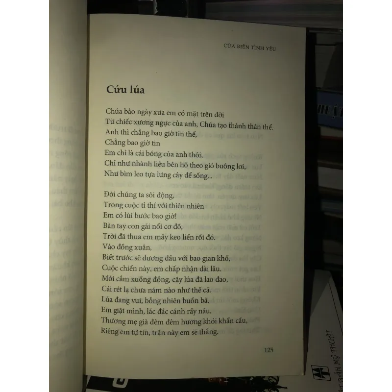 Cửa biển tình yêu - Nguyễn Viết Lãm 1004227