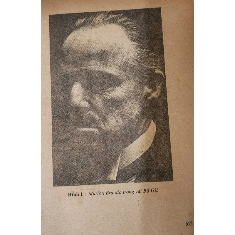 Tác phẩm VH kinh điển của nhà văn Mario Puzo: BỐ GIÀ 793003