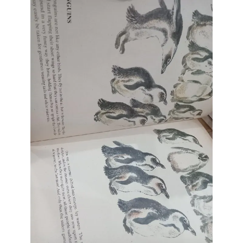 My Animals book - Yevgeny Charushin 124638