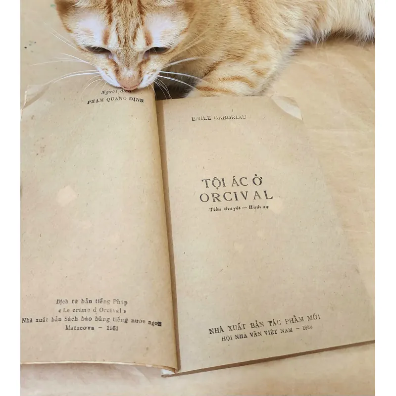 TỘI ÁC Ở ORCIVAL 703955