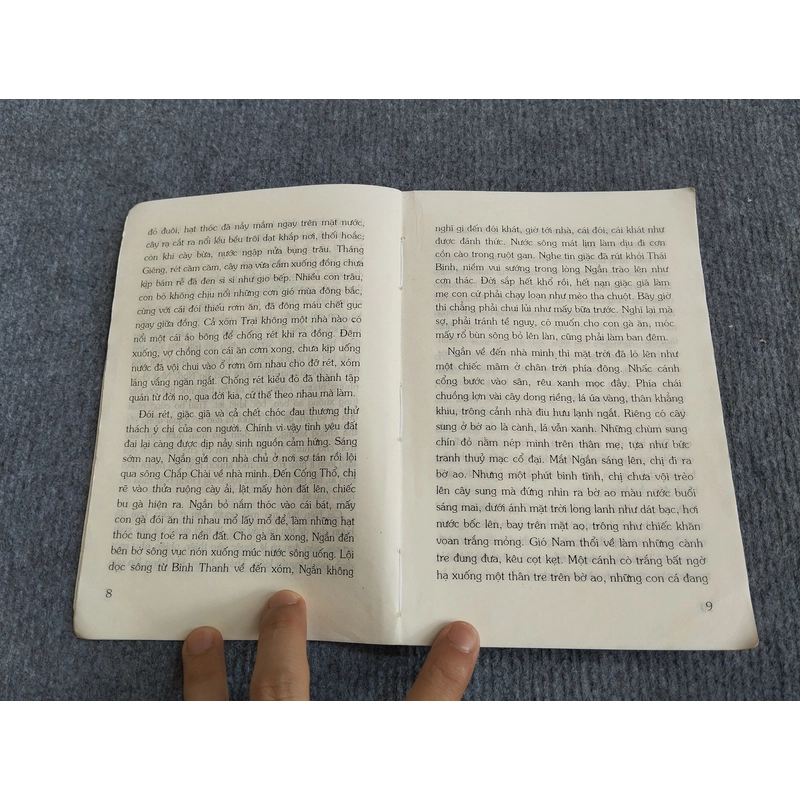 MÙA SUNG ĐỎ - NGÔ HẢI ĐẢO 548194