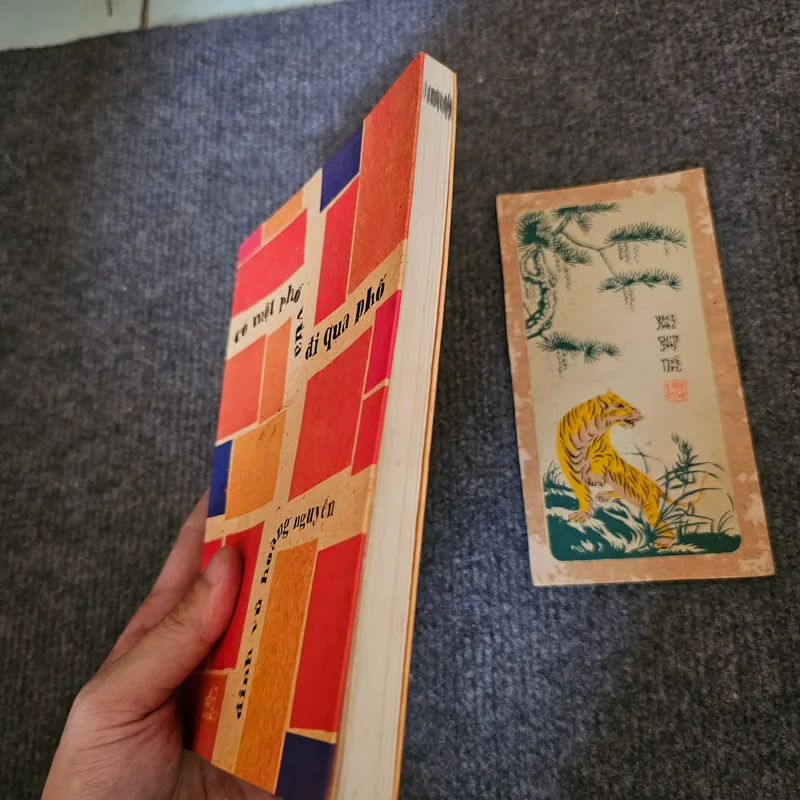 Có một phố vừa đi qua phố - Đinh Vũ Hoàng Nguyên 735177