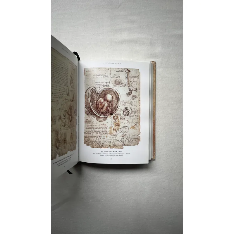 Leonardo Da Vinci 1028940