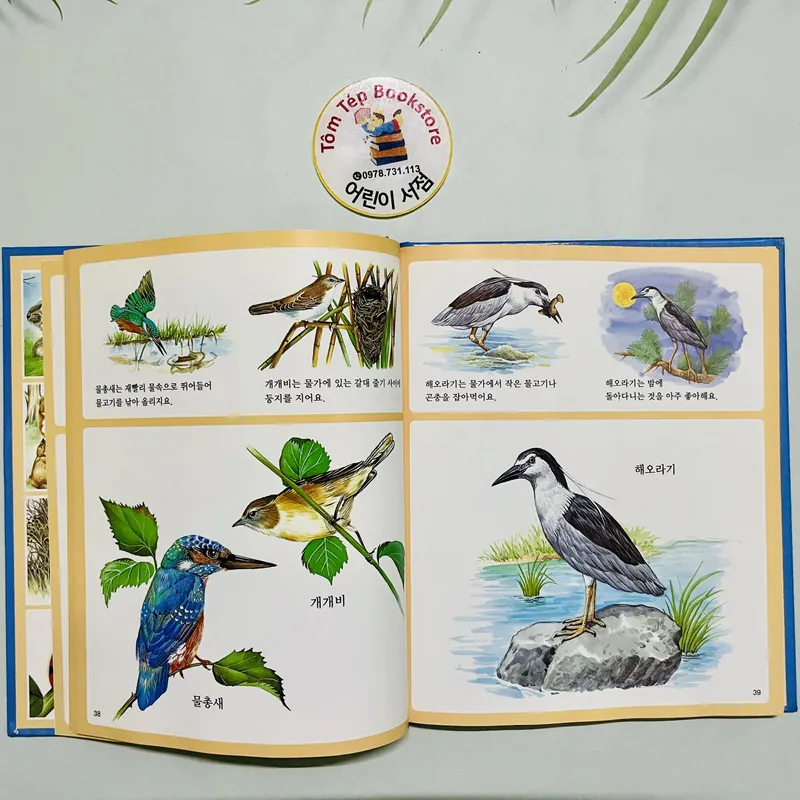 웅진 어린이 비주얼 백과 Woongjin Visual Encyclopedia for Children 689599