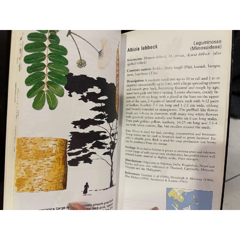 Trees and fruits of southeast asia - Michael Jensen 927617