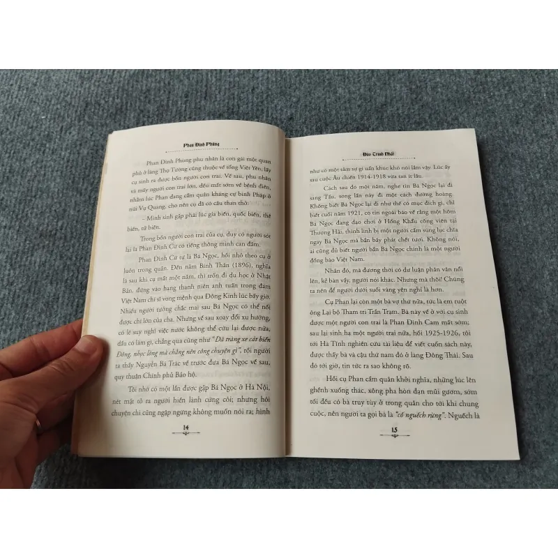 PHAN ĐÌNH PHÙNG 717946