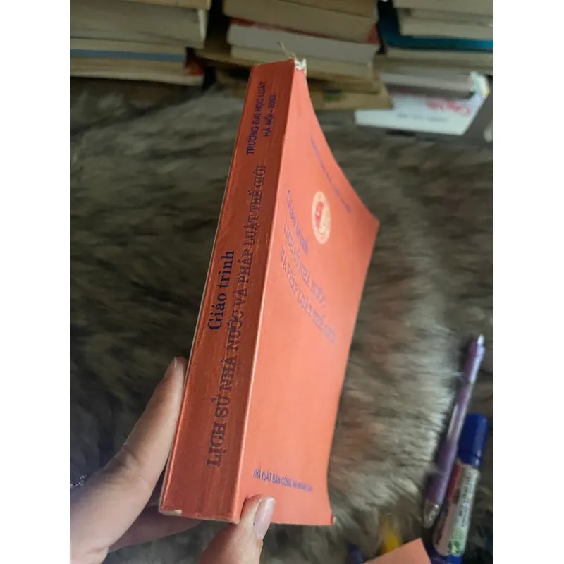 Giáo trình lịch sử Nhà nước và Pháp luật thế giới 559135