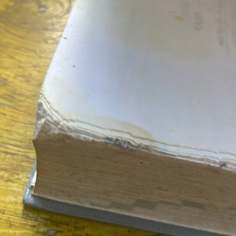 TỪ ĐIỂN VIỆT - PHÁP - LÊ KHẢ KẾ- NGUYỄN LÂN 575407