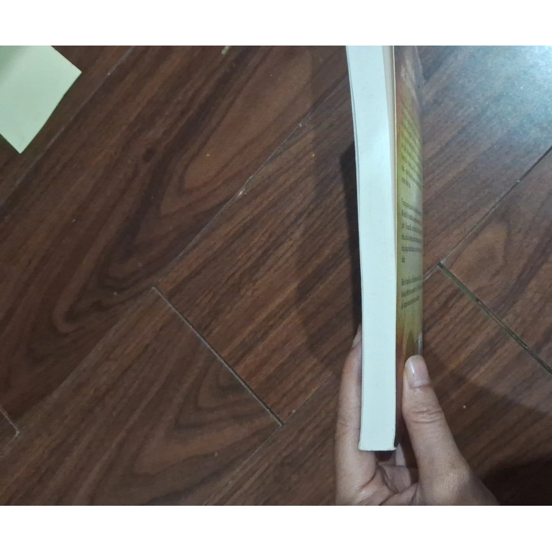 The magic phép màu 551541