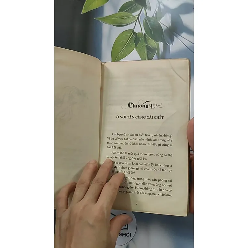 9X'09 - Nguyễn Quỳnh Trang 688653