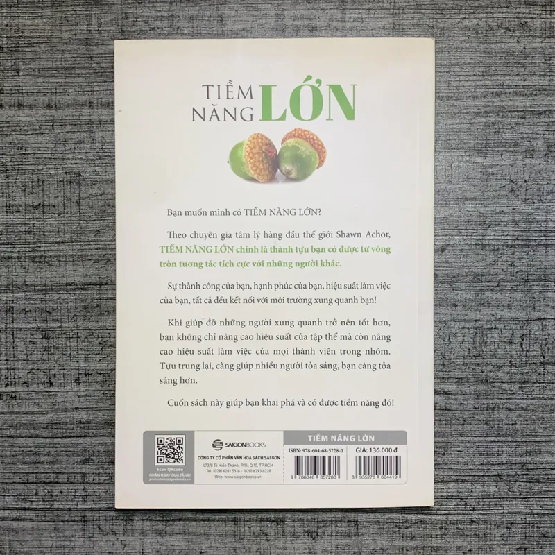 Tiềm Năng Lớn ( Big Potential) - Shawn Achor 707931