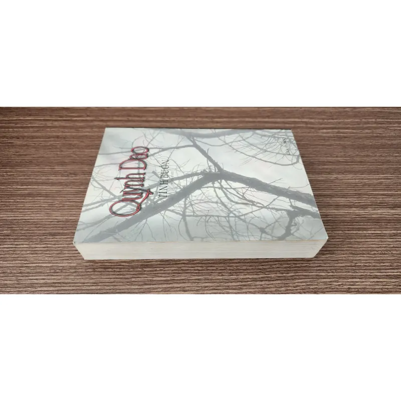 Tiểu thuyết của Quỳnh Dao: TÌNH BUỒN (713 trang) 739088