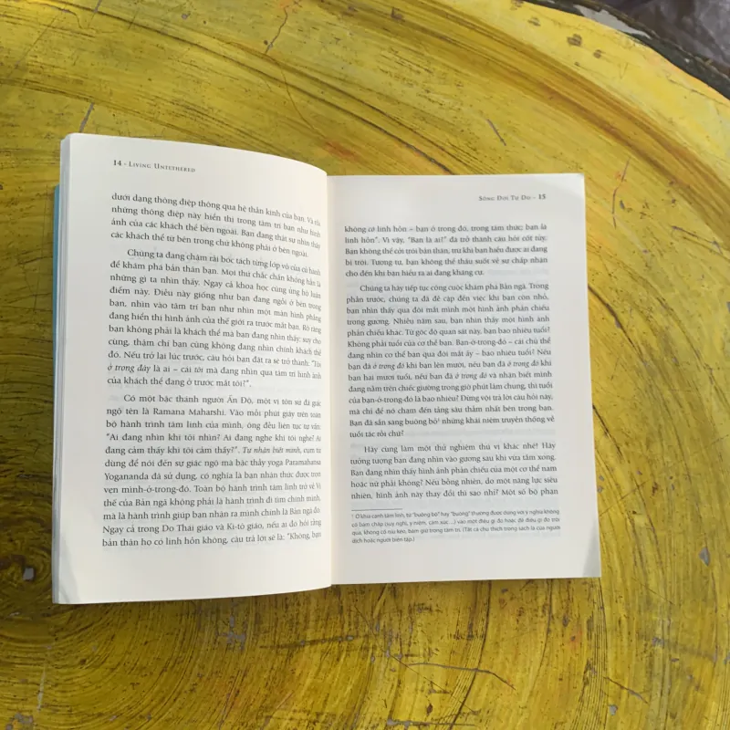SỐNG ĐỜI TỰ DO - MICHAEL A. SINGER 1037322