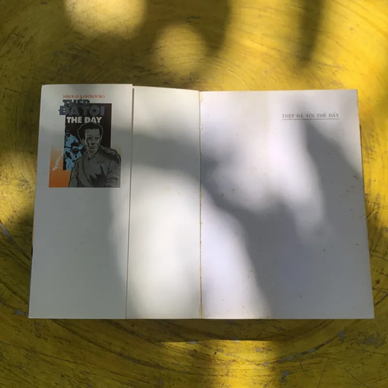 THÉP ĐÃ TÔI THẾ ĐẤY- NIKOLAI A. OSTROVSKY 782686