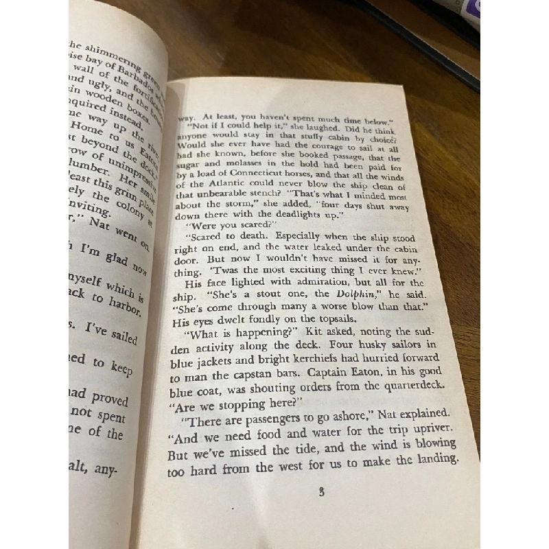 The Witch of Blackbird Pond - Elizabeth George Speare 505422