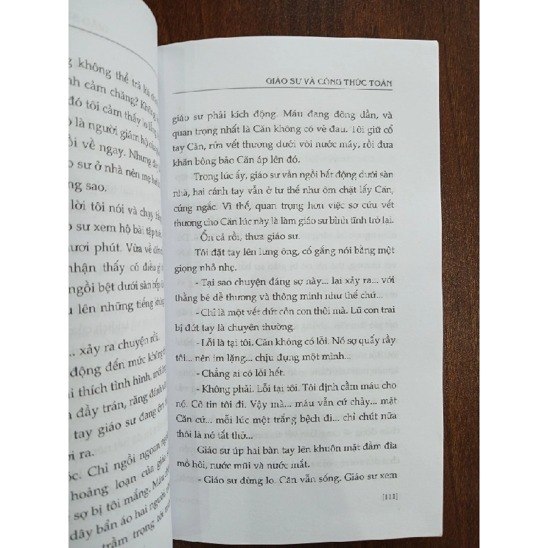 Giáo sư và công thức toán (The Housekeeper and the Professor)<br>Yoko Ogawa 539480