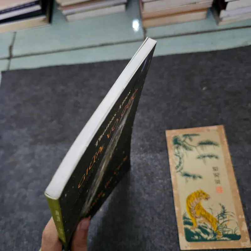 Giữa vô cực - Thomas ames 737272