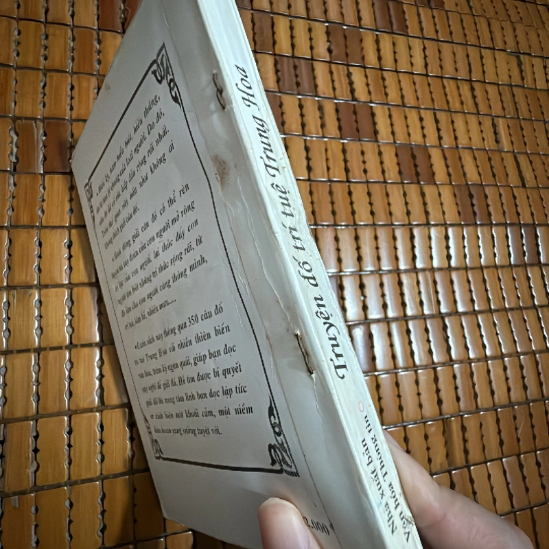 Truyện đố trí tuệ Trung Hoa  442407