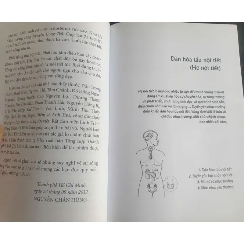 Kỳ Diệu Dàn Điều Hòa Nội Tiết 712080