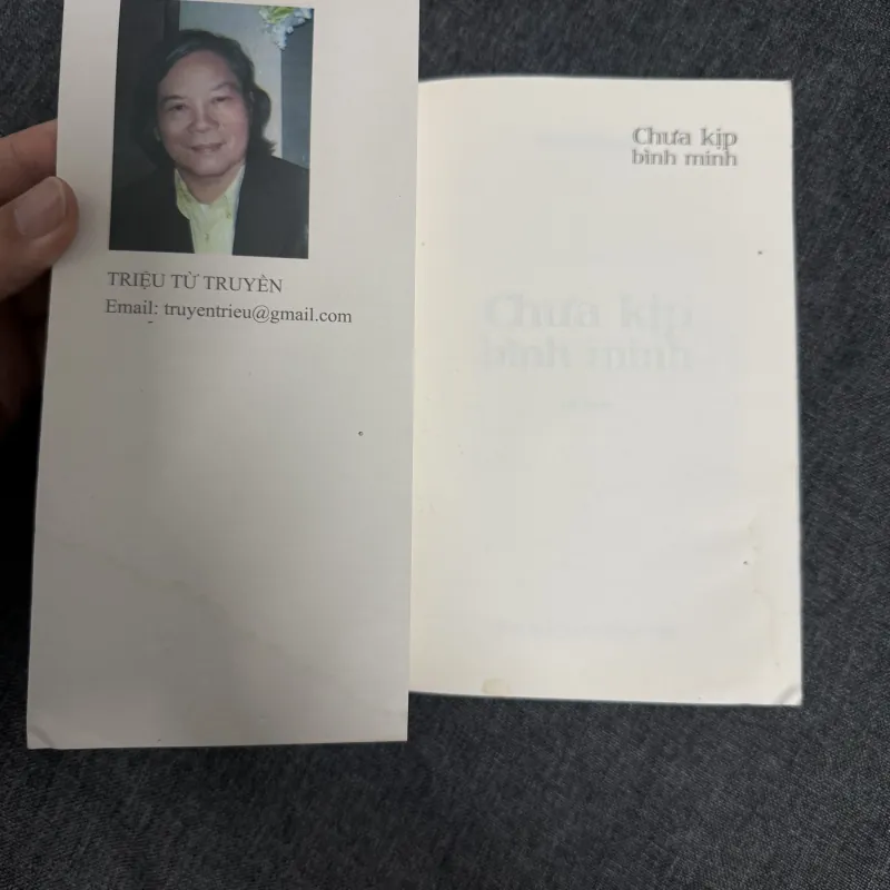 Chưa kịp bình minh - Triệu Từ Truyền 1042856