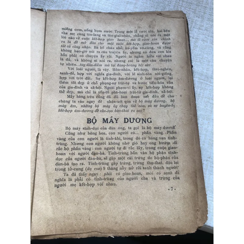 Mang nặng đẻ đau-BS Trần Ngọc Ninh, Ông Trần Việt Sơn 971198