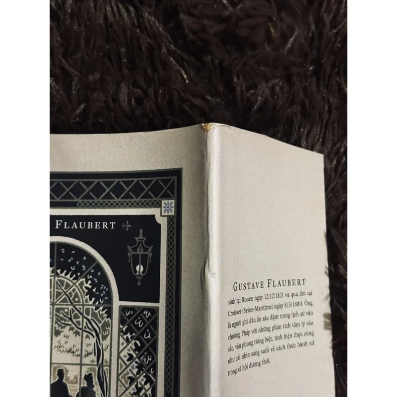 Bà Bovary (bìa cứng) 717559