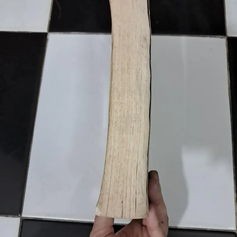 Bí Quyết hóa rồng - Lịch sử Singapore 1010211