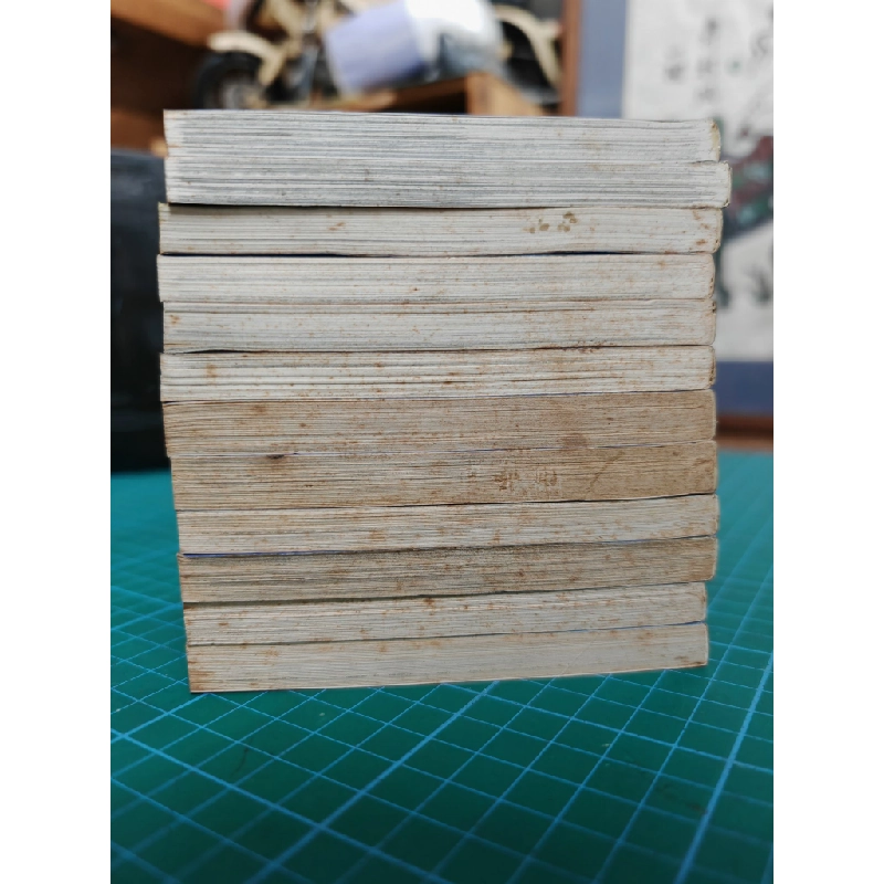 Truyện tranh hộ chiếu xanh 465577