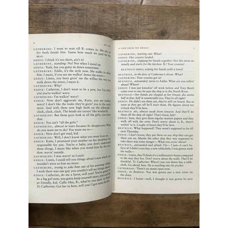 A View from the Bridge: A Play in Two Acts - Arthur Miller 731979