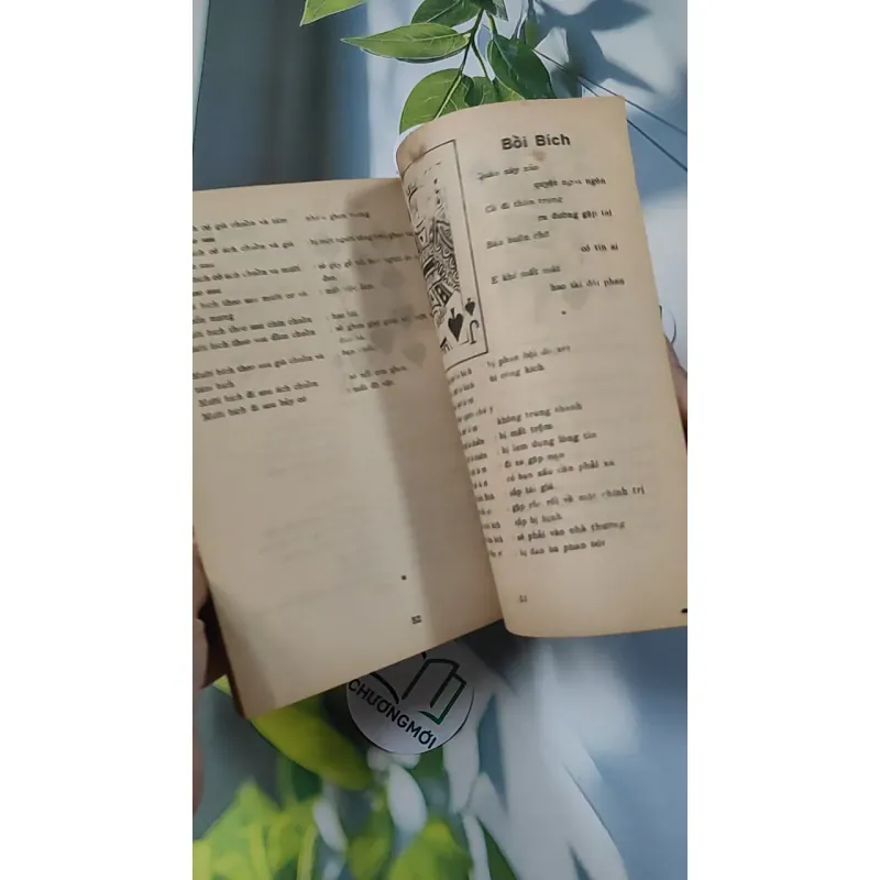 [XƯA] Bói Bài - Xem Sự Thành Bại Trên Đường Đời (1970) - Huỳnh Liên Tử 775994